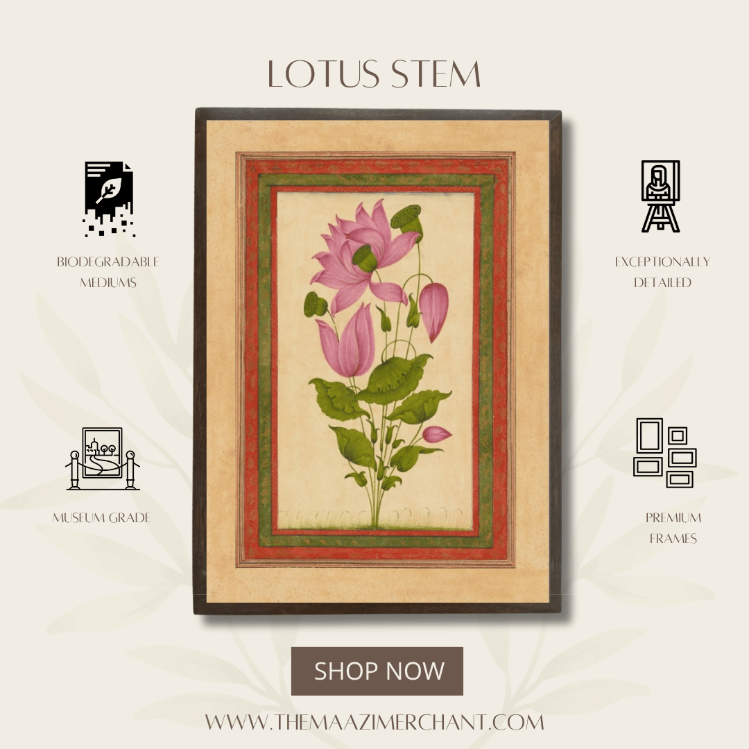 Lotus Stem