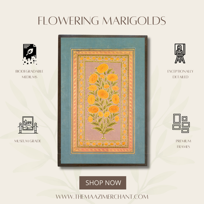 Flowering Marigolds