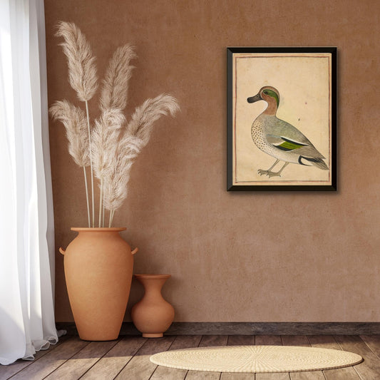 A Green-Winged Teal
