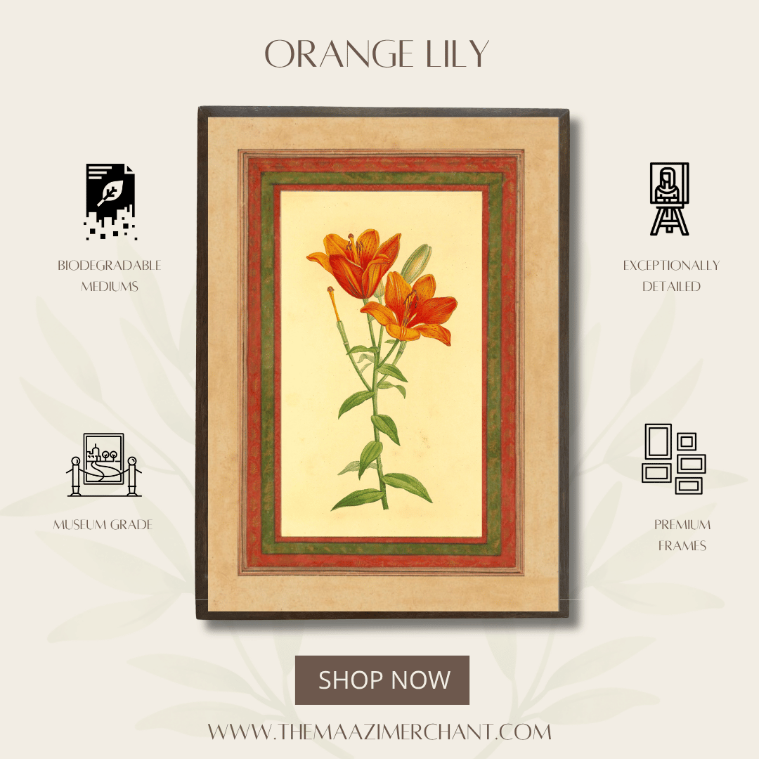Orange Lily