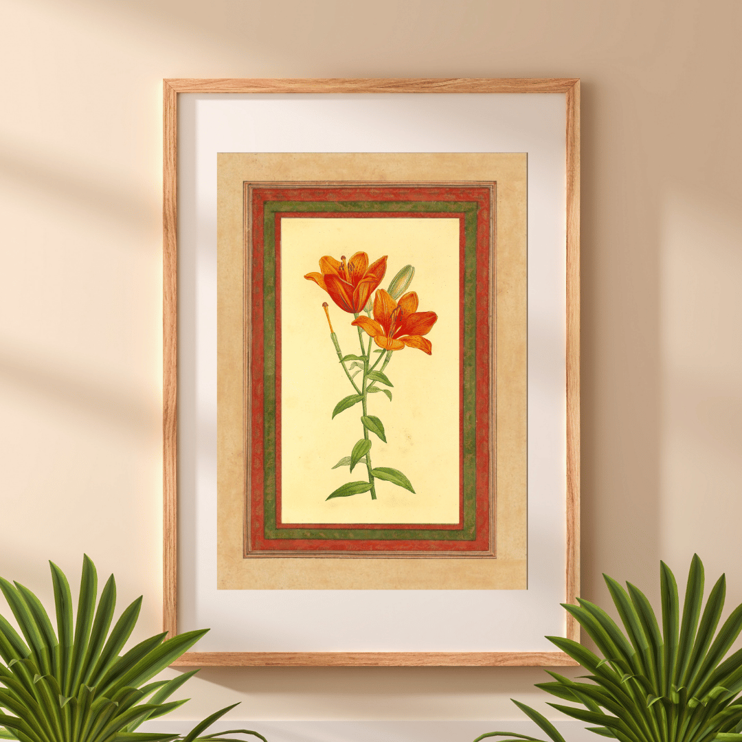 Orange Lily