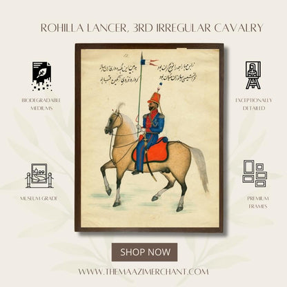 Rohilla Lancer, 3rd Irregular Cavalry