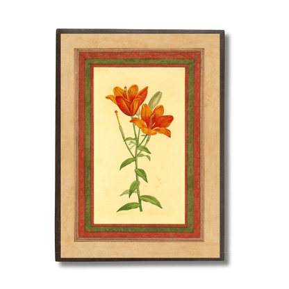 Orange Lily