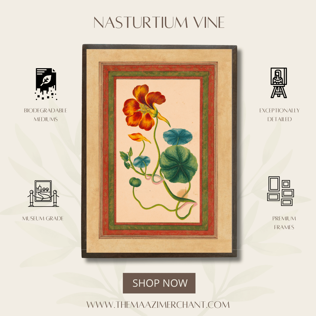 Nasturium Vine