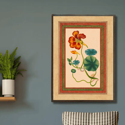 Nasturium Vine