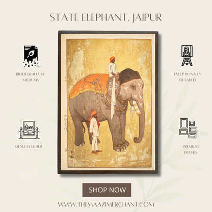 State Elephant, Jaipur