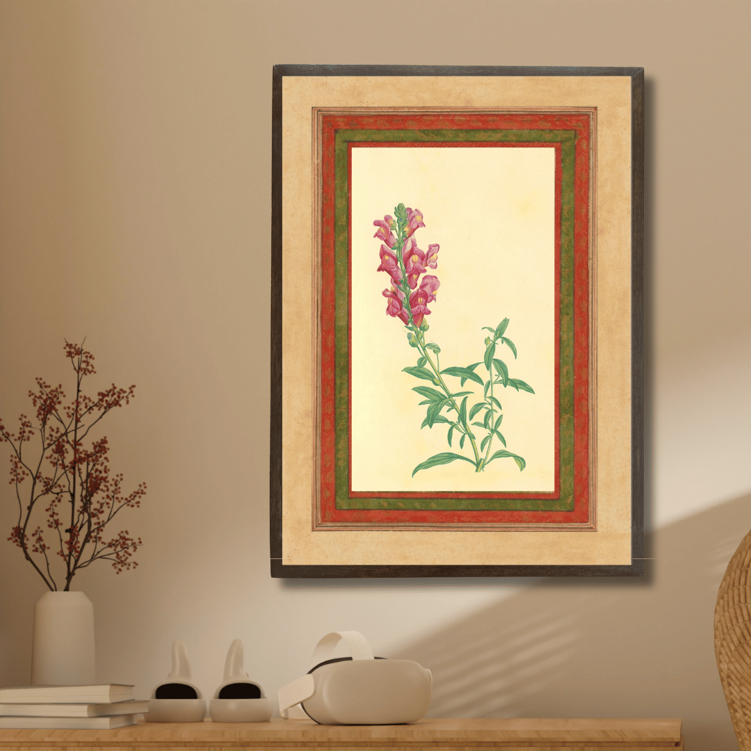 Pink Snapdragon