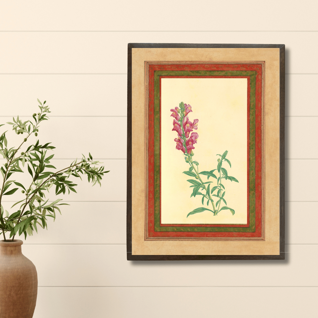 Pink Snapdragon