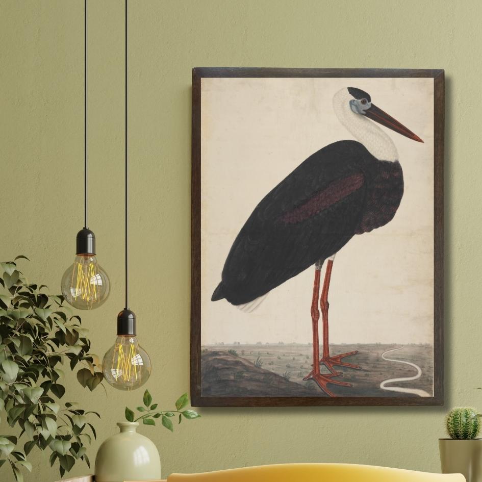 Black Stork in Landscape