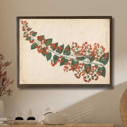 Yellow-eyed Babbler perched on Chinese hat plant