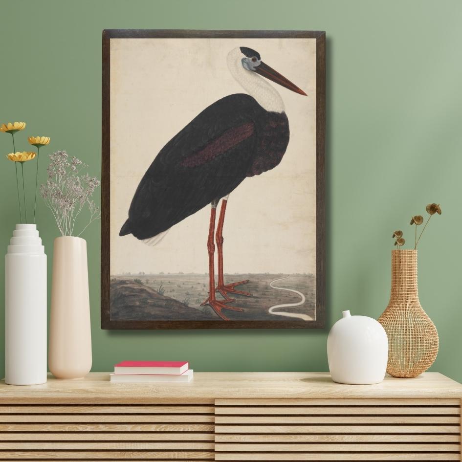 Black Stork in Landscape