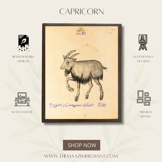 Capricorn