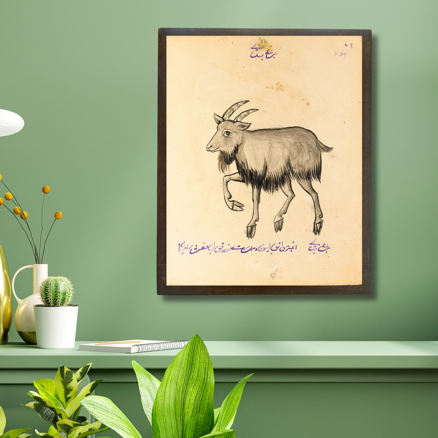 Capricorn