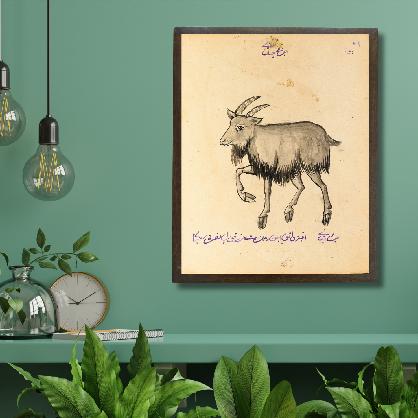 Capricorn