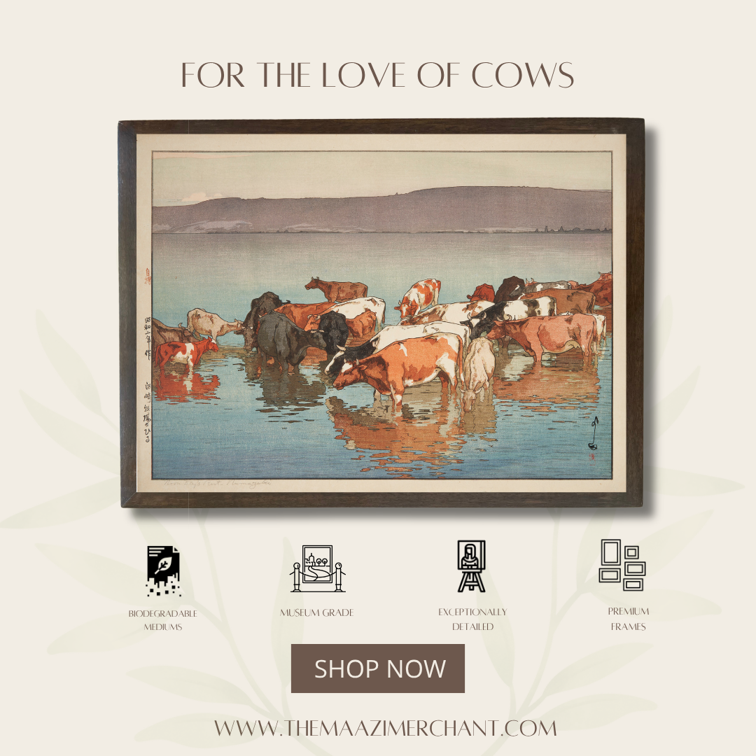 For the love of Cows