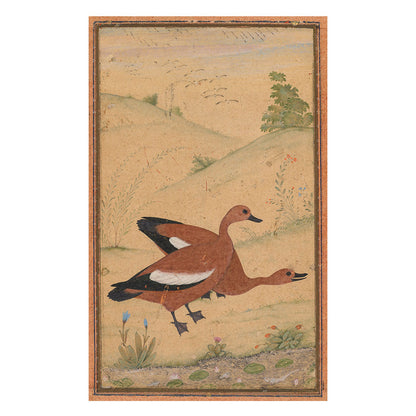 A Pair of Brahminy Ducks