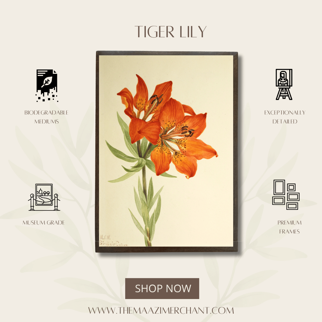Tiger Lily