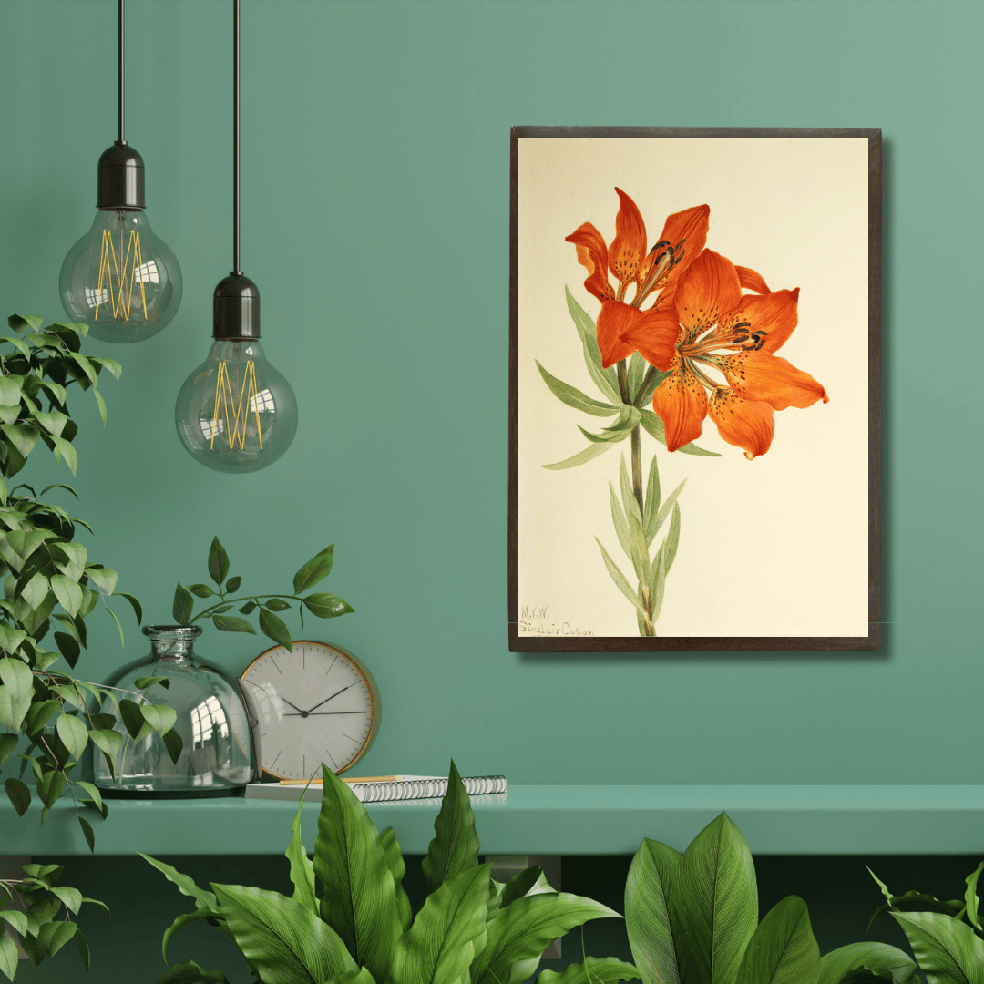 Tiger Lily