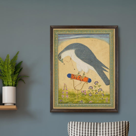 A Royal Falcon