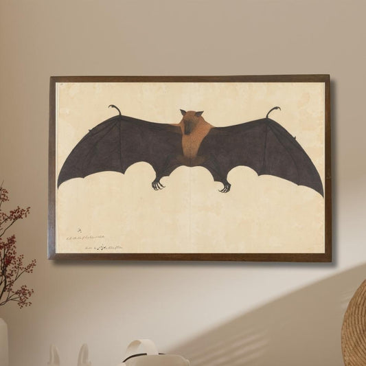 Great Indian Fruit Bat