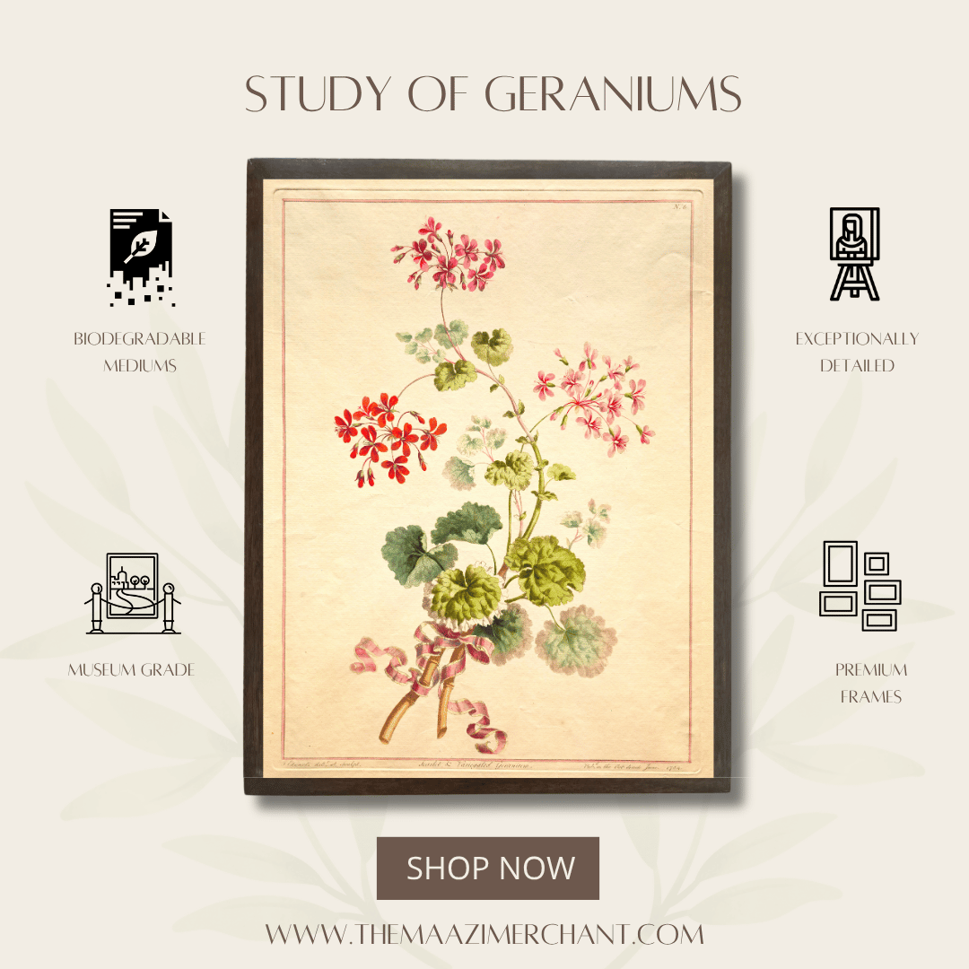 Study of Geraniums