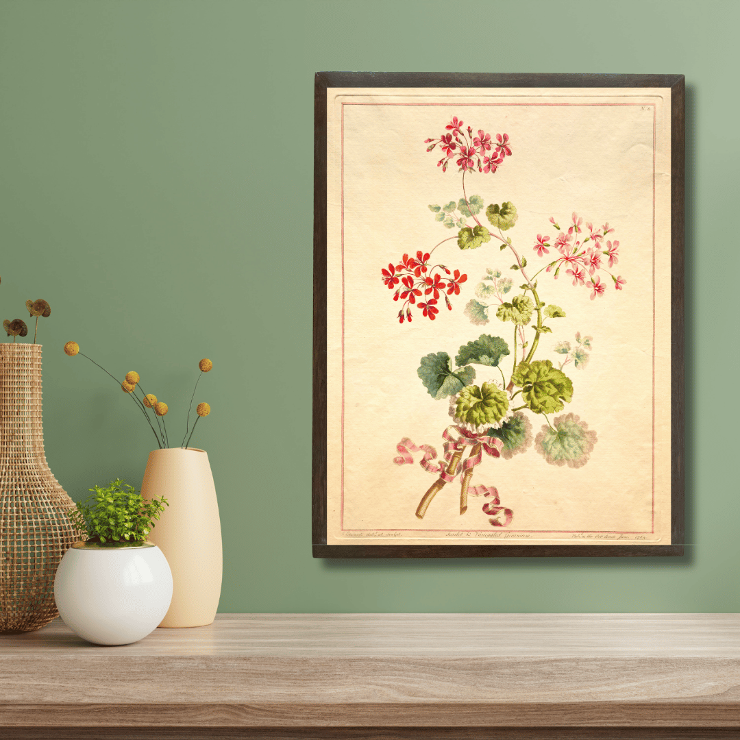 Study of Geraniums