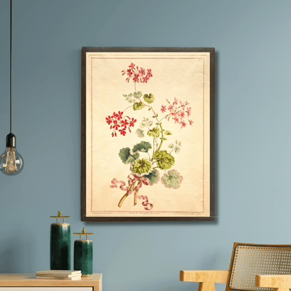 Study of Geraniums
