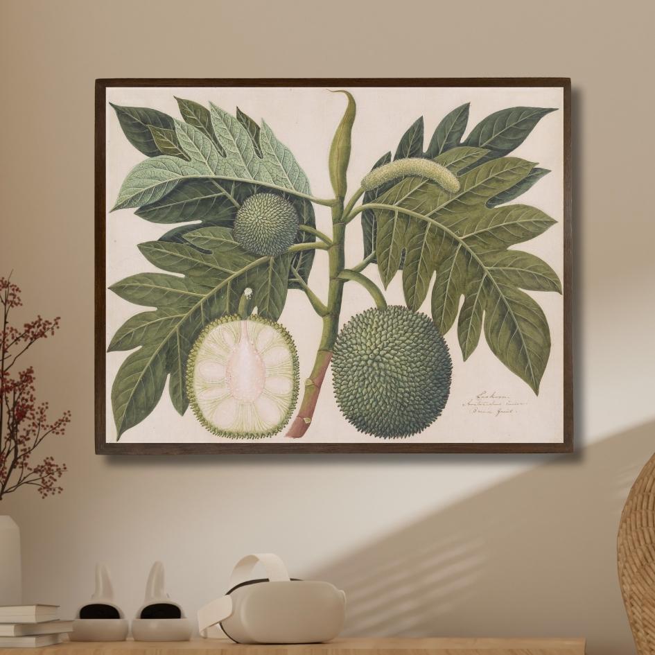 Bread Fruit Plant