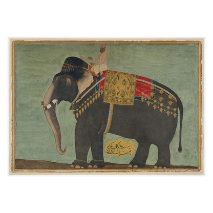 Portrait of the Elephant 'Alam Gumman'