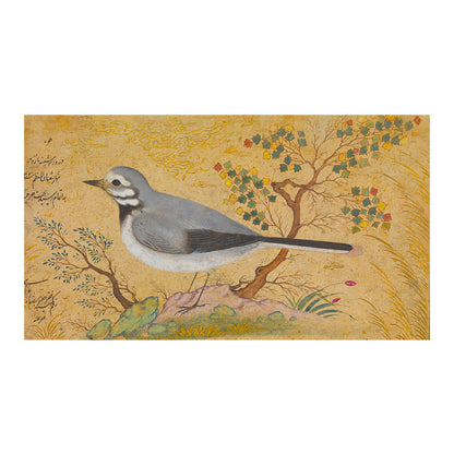 Study of a bird