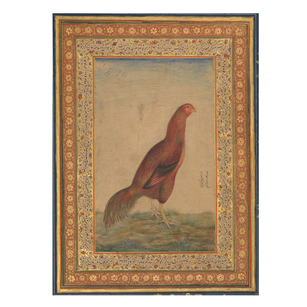 Royal Hen