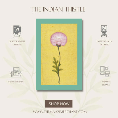 The Indian Thistle